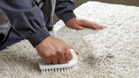 Professional Rug Cleaning Canadian